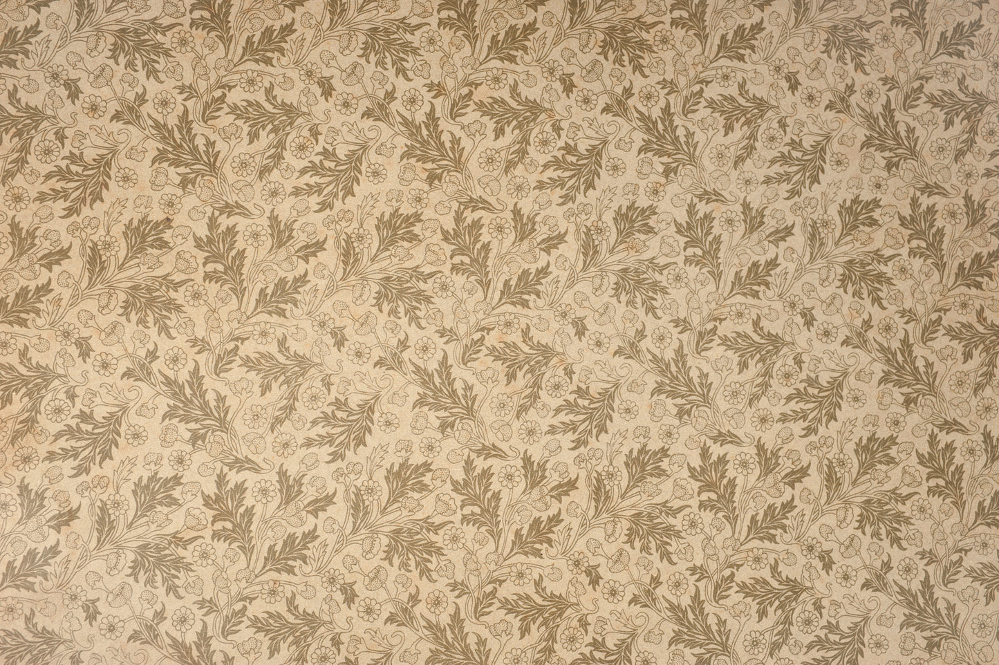 Beige Wallpaper BG-6