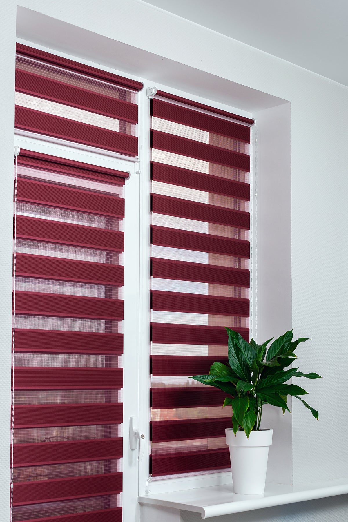 roll blinds windows protect sunlight