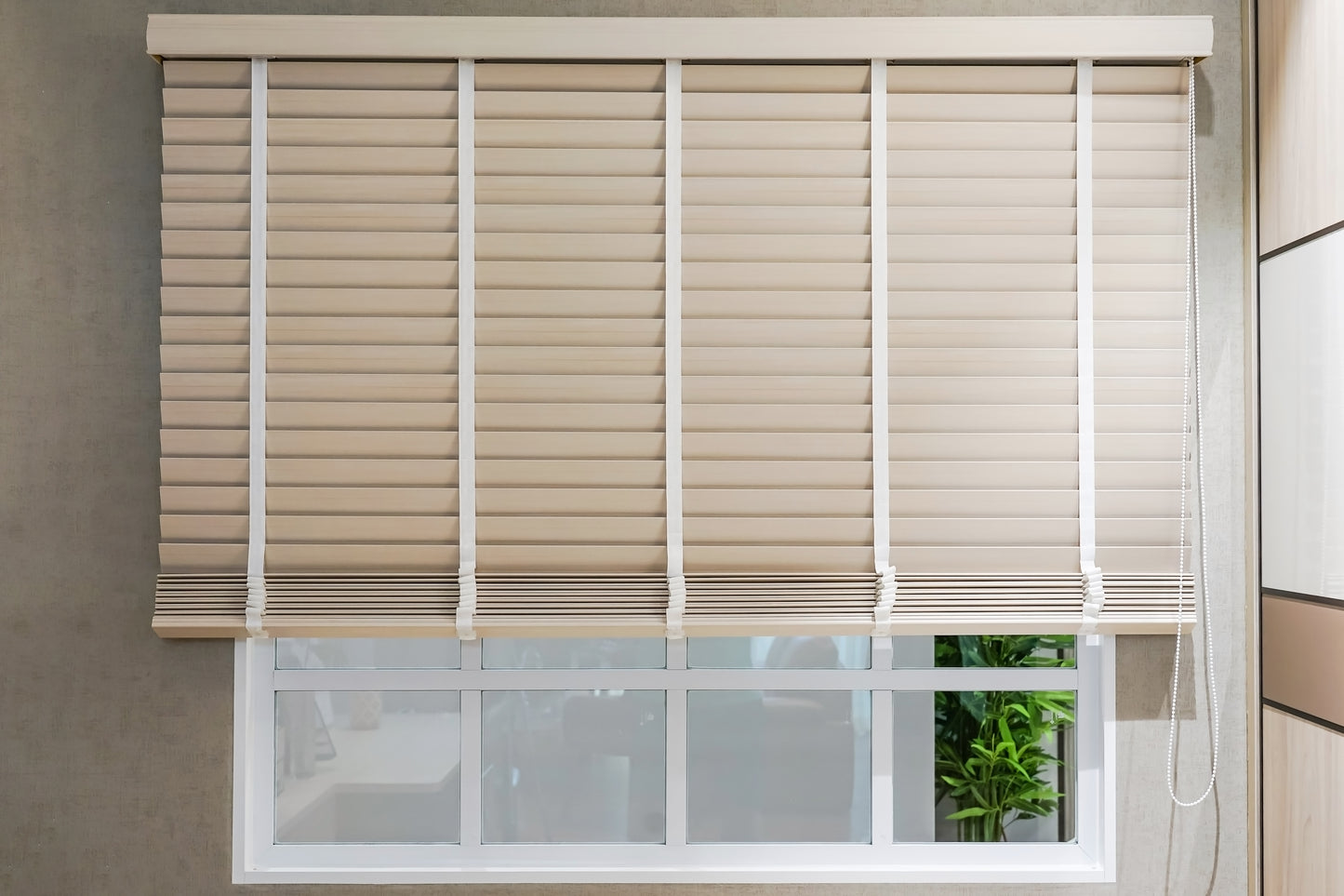 roll blinds windows protect sunlight